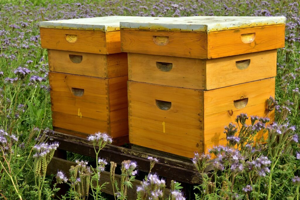 beehive, bees, bee keeping-3703434.jpg